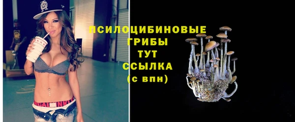 a pvp Абдулино