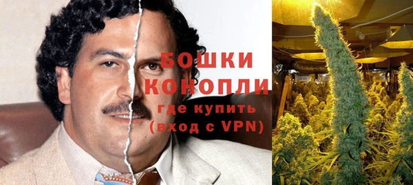 стаф Абаза